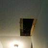 ceiling repair, in progress